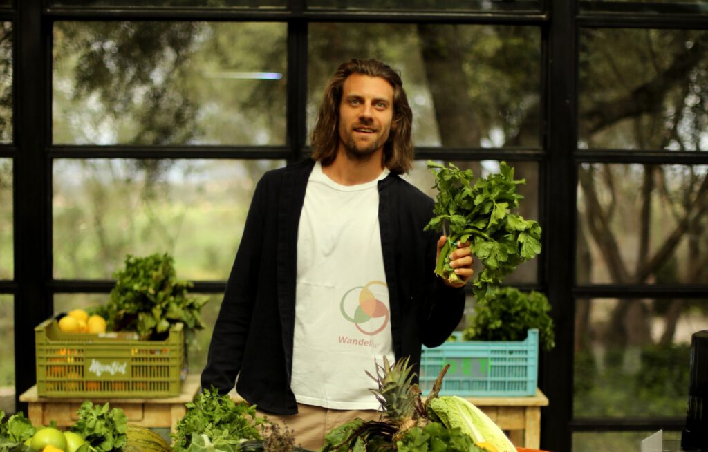 Hurom Entsafter Vergleich - WandelPur - Tobias Steinhaeuser