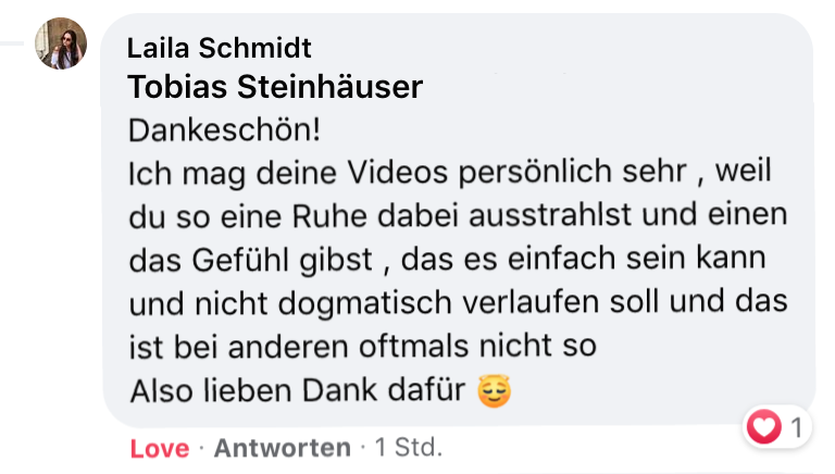 Feedback - Erfahrung - Testimonial - Tobias Steinhäuser - WandelPur - Videos