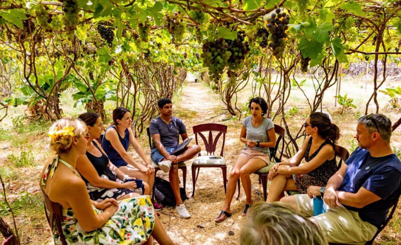 WandelPur Workation - Tobias Steinhaeuser - Gran Canaria - Agaete 12