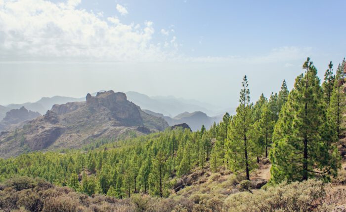 WandelPur Retreat - Gran Canaria - Tobias Steinhaeuser - Casa Agama 15